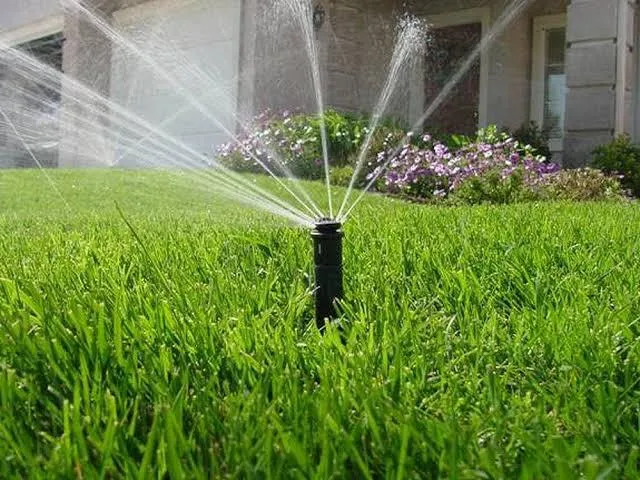 Garden Maintenance and Irrigation