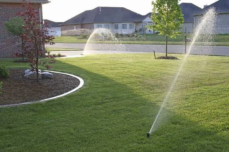 Garden Maintenance and Irrigation